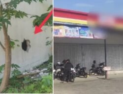 Bolongi Tembak, Maling Acak-acak Alfamart di Sukosewu, Puluhan Juta Raib