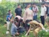 Pemancing Meninggal di Pinggir Embung Desa Siwalan