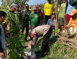 Petani di Bojonegoro Ditemukan Meninggal di Sawah