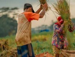 Lumbung Pangan Bojonegoro Hanya Ilusi Politik