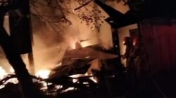 Kebakaran Hanguskan 7.000 Ayam di Kandang Desa Nglarangan, Bojonegoro