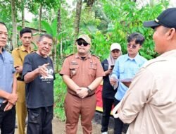 Bukan Protes, Tapi Peduli! Aksi Warga Merbau Mataram Cat Jembatan Rusak Direspons Positif, Camat: Perbaikan Sudah Masuk Agenda Tahun Ini!