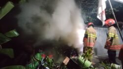 Si Jago Merah Mengamuk di Tumpukan Sampah dan Rongsokan, Rumah Warga Terancam