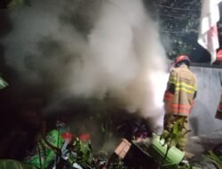 Si Jago Merah Mengamuk di Tumpukan Sampah dan Rongsokan, Rumah Warga Terancam
