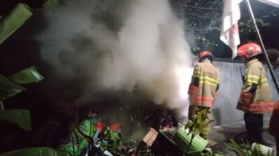 Si Jago Merah Mengamuk di Tumpukan Sampah dan Rongsokan, Rumah Warga Terancam
