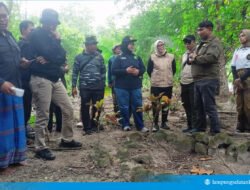 Tim Kemenko Polkam Telusuri Makam Tentara Belanda di Pulau Sebuku, Pemindahan Tinggal Menunggu Hasil Tes DNA