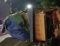 Truck Fuso Bermuatan Tembakau Terguling di Depan Sekolah Model Terpadu Bojonegoro