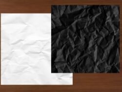 Stand-up Ala Birokrasi Kertas Putih vs Kertas Hitam 2