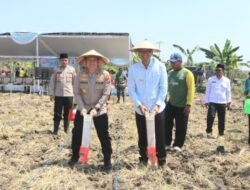Bupati Bojonegoro Setyo Wahono Bersama Polri dan Santri Tanam Jagung untuk Swasembada Pangan