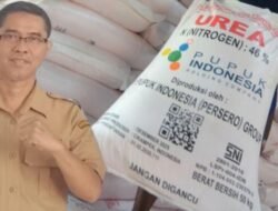 Harga Pupuk Resmi Turun, DKPP Bojonegoro Optimis Tingkatkan Produksi Pertanian