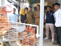 Bupati Bojonegoro Resmi Buka Pelatihan Gerakan Beternak Ayam Petelur Mandiri (GAYATRI)