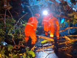 Rekap Kejadian Dampak Hujan Deras disertai Angin  Kencang yang Hantam Bojonegoro Hari ini