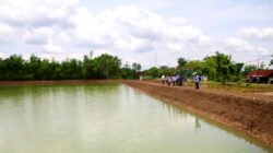 Akhir Tahun 2025, Progres Pembangunan Embung di Bojonegoro Lampaui Target