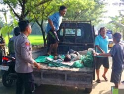 Kecelakaan Maut di Sugihwaras, 1 Tewas 1 Kritis