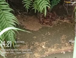 Dugaan Pembuangan Limbah Dapur MBG ke Drainase di Tuban: Warga Minta Tanggung Jawab