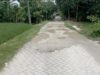 Tanggapan Kades Genjor Soal Jalan di Desanya yang Ditanami Pohon Pisang Oleh Warganya