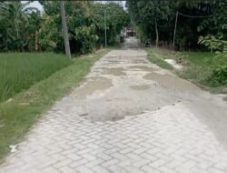 Tanggapan Kades Genjor Soal Jalan di Desanya yang Ditanami Pohon Pisang Oleh Warganya