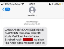 OTP dan Proteksi Berlapis, Nasabah Merasa Transaksi di BRImo Makin Aman
