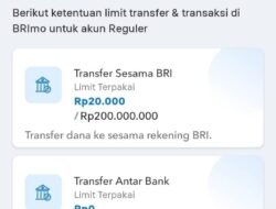 Fitur Riwayat Transaksi 5 Tahun di BRImo Bantu Nasabah Kelola Keuangan Lebih Rapi