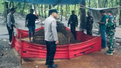 Polisi–TNI Gencar Razia Sabung Ayam di Jombang, Pelaku Kerap Kabur Gunakan Pola “Kucing-kucingan”