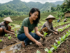 Petani Tembakau Bojonegoro Bisa Dapat Bibit Gratis, Ini Syarat Mudah yang Harus Dipenuhi