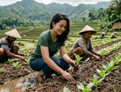 Petani Tembakau Bojonegoro Bisa Dapat Bibit Gratis, Ini Syarat Mudah yang Harus Dipenuhi
