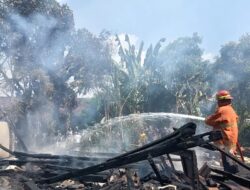 Rumah Lansia di Plandaan Jombang Ludes Terbakar, Diduga Dipicu Bara Tungku Kayu yang Belum Padam
