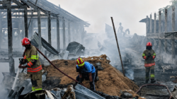 Kandang Ayam di Bojonegoro Terbakar, 28 Ribu Ekor Ayam Mati, Kerugian Capai Rp 6 Miliar