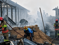 Kandang Ayam di Bojonegoro Terbakar, 28 Ribu Ekor Ayam Mati, Kerugian Capai Rp 6 Miliar