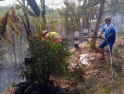 Kebakaran Lahan Tebu di Bojonegoro Rugikan Petani Rp15 Juta