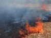 Kebakaran Lahan Tebu di Bojonegoro Rugikan Petani Rp15 Juta