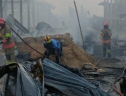 Kandang Ayam di Bojonegoro Terbakar, 28 Ribu Ekor Ayam Mati, Kerugian Capai Rp 6 Miliar