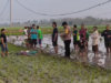 Ibu dan Anak Tewas Kesetrum Jebakan Tikus di Sawah Bojonegoro