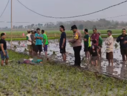 Ibu dan Anak Tewas Kesetrum Jebakan Tikus di Sawah Bojonegoro