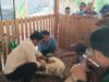 Tingkatkan Kualitas Peternakan, Anggota Koperasi Rimba Tani Sejahtera Ikuti Pelatihan Silsilah dan Identitas Domba