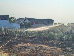Bakar Daun Kering, Lahan di Sumbang Bojonegoro Terbakar